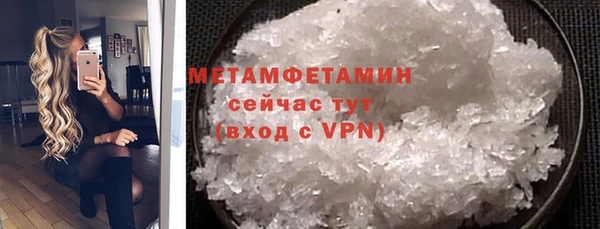прущие грибы Вяземский