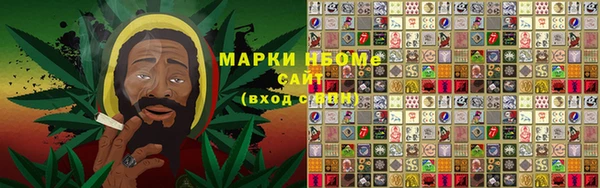 прущие грибы Вяземский