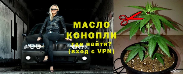 прущие грибы Вяземский